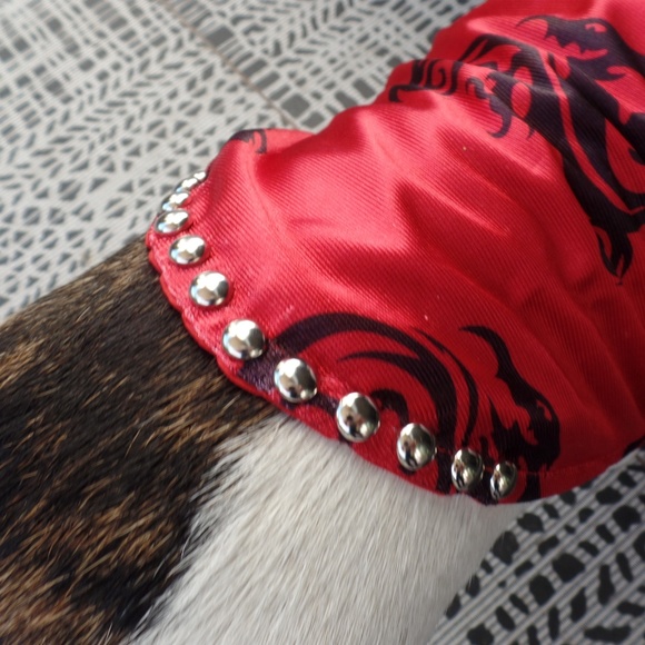 Dragon boy dog clothes nwot! - Picture 3 of 6